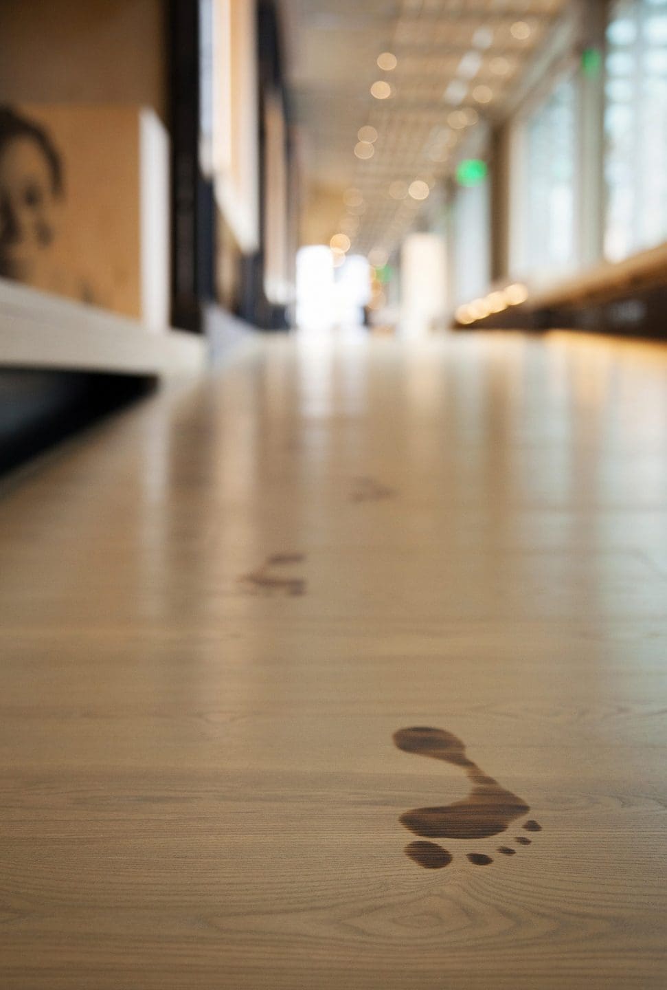 Olson Kundig — Bill & Melinda Gates Foundation Discovery Center