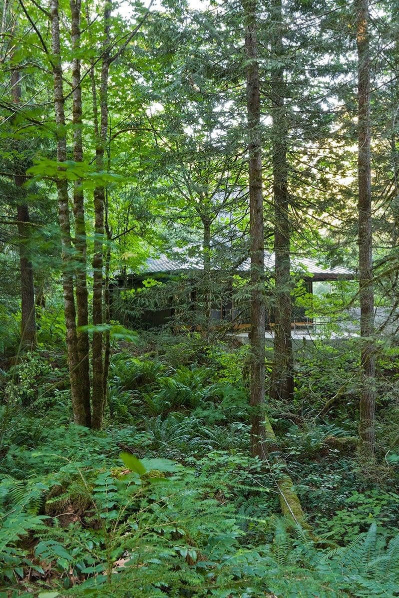 Olson Kundig Tye River Cabin