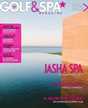 publication cover