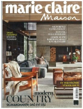 publication cover