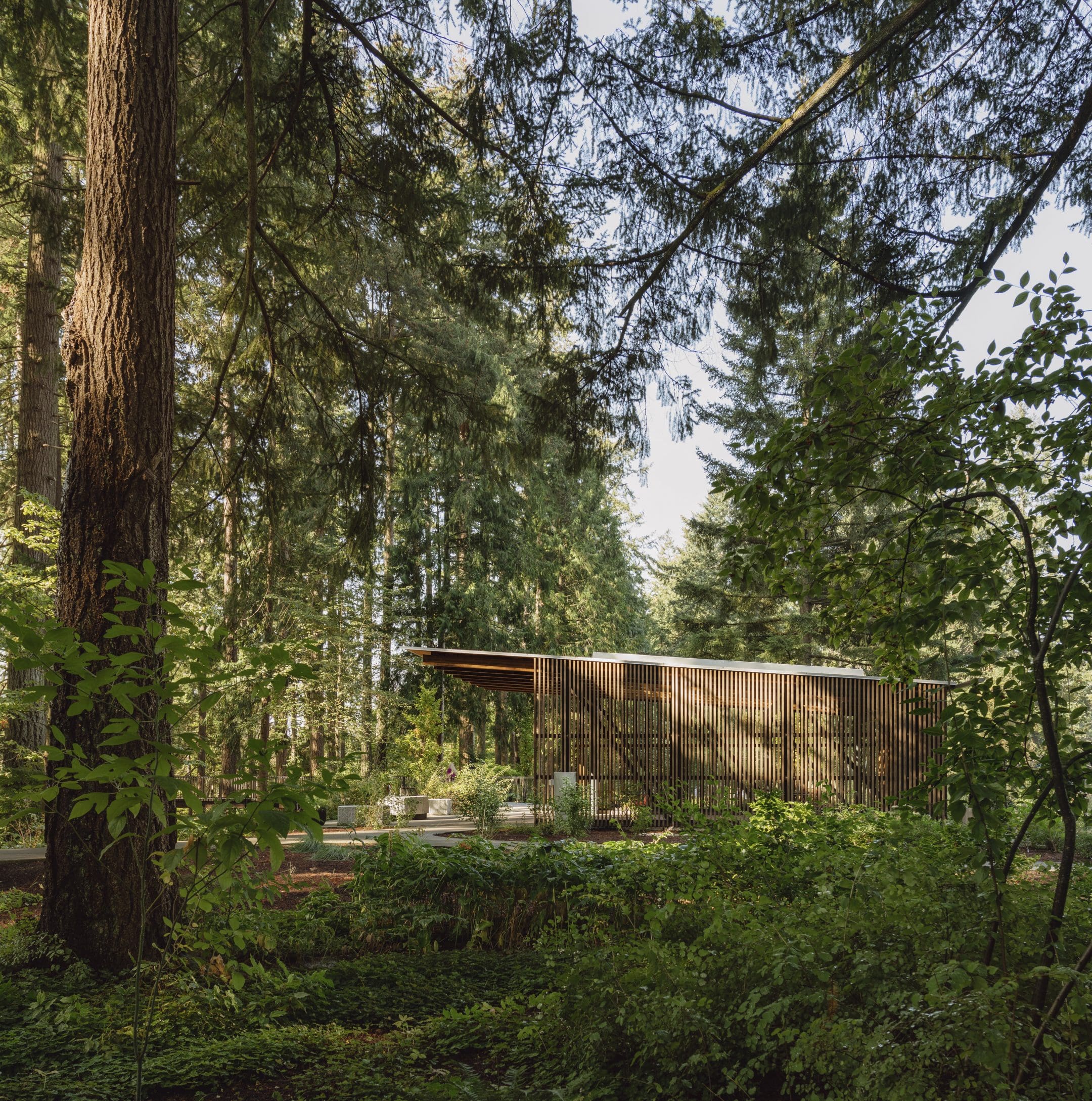 Olson Kundig — Leach Botanical Garden – The Upper Garden